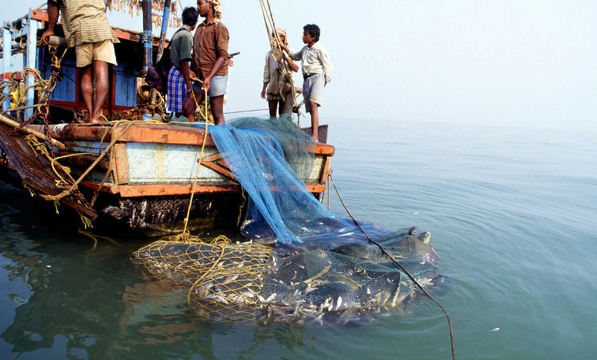 Sri Lankan Navy Arrests 12 Indian Fishermen, Seizes Fishing Boat