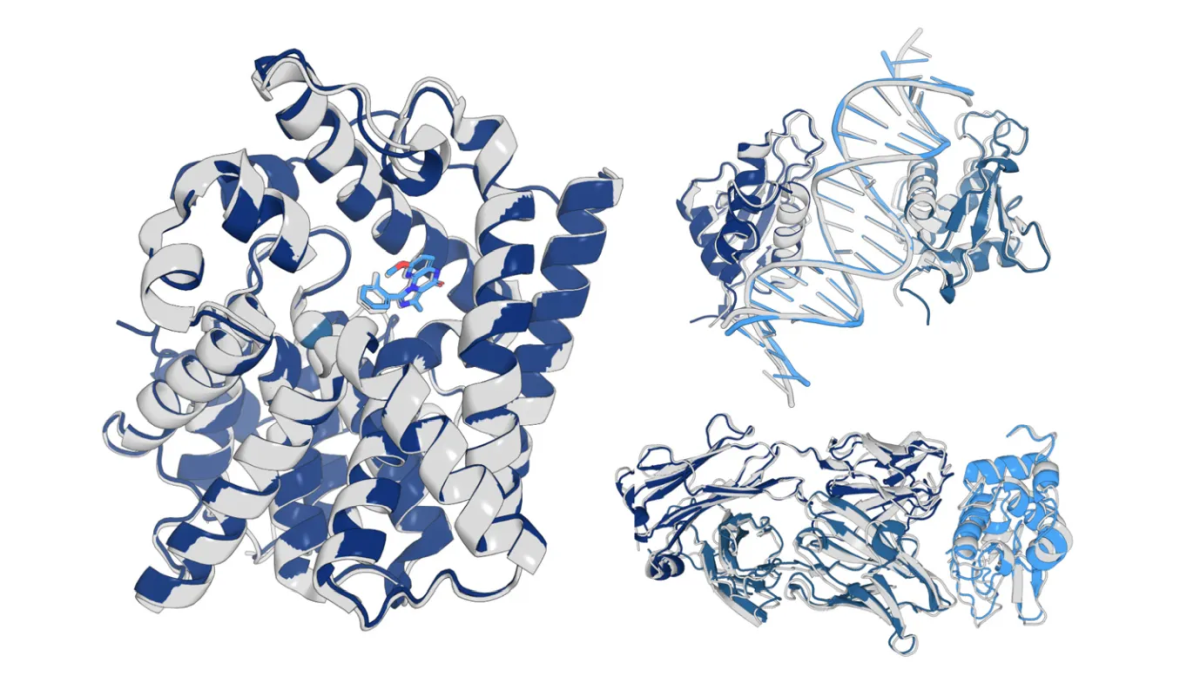 OpenFold3 AI Model Takes Key Step in Protein Prediction Field