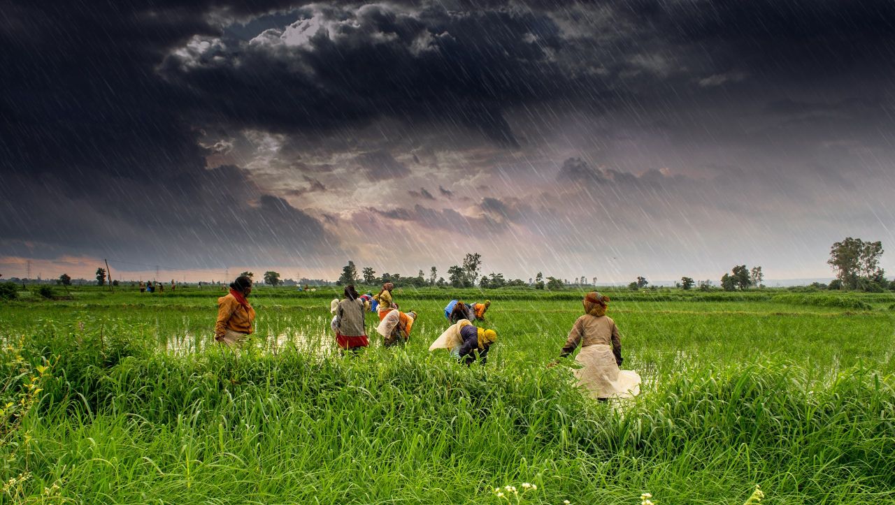 India’s Monsoon 2026 May Fall Short as Strong El Niño Builds, Weather Agencies Warn