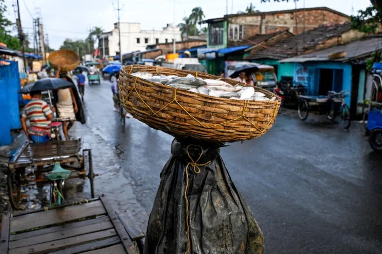 How fish became the unlikely weapon in West Bengal’s fiercest election battle