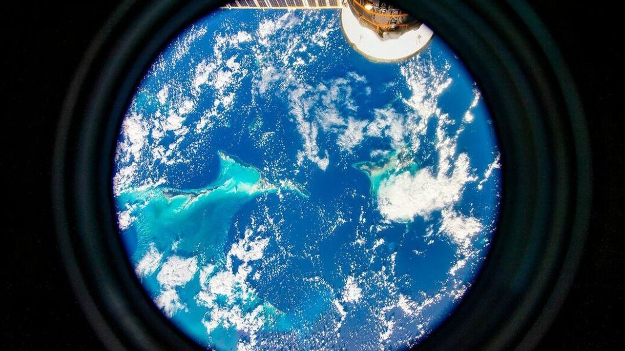 China Sends Artificial Embryo Into Space, A Historic First for Human Survival Research