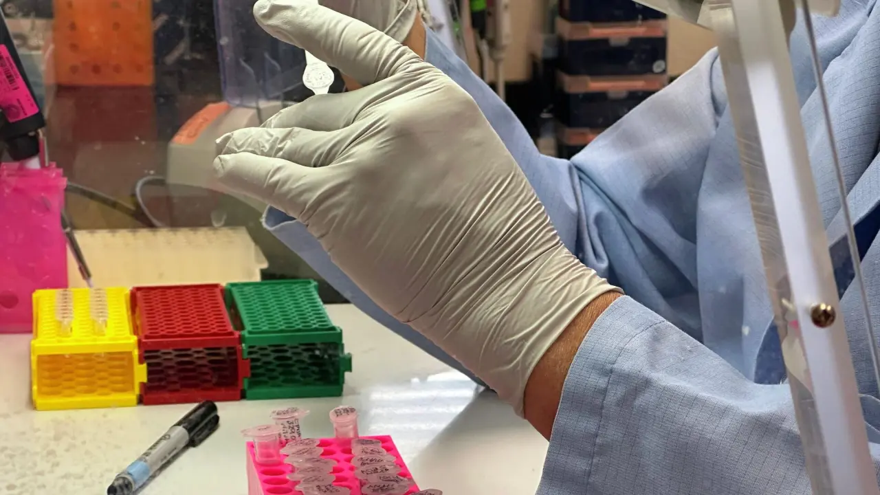 Indonesia Detects Three Confirmed Hantavirus Cases