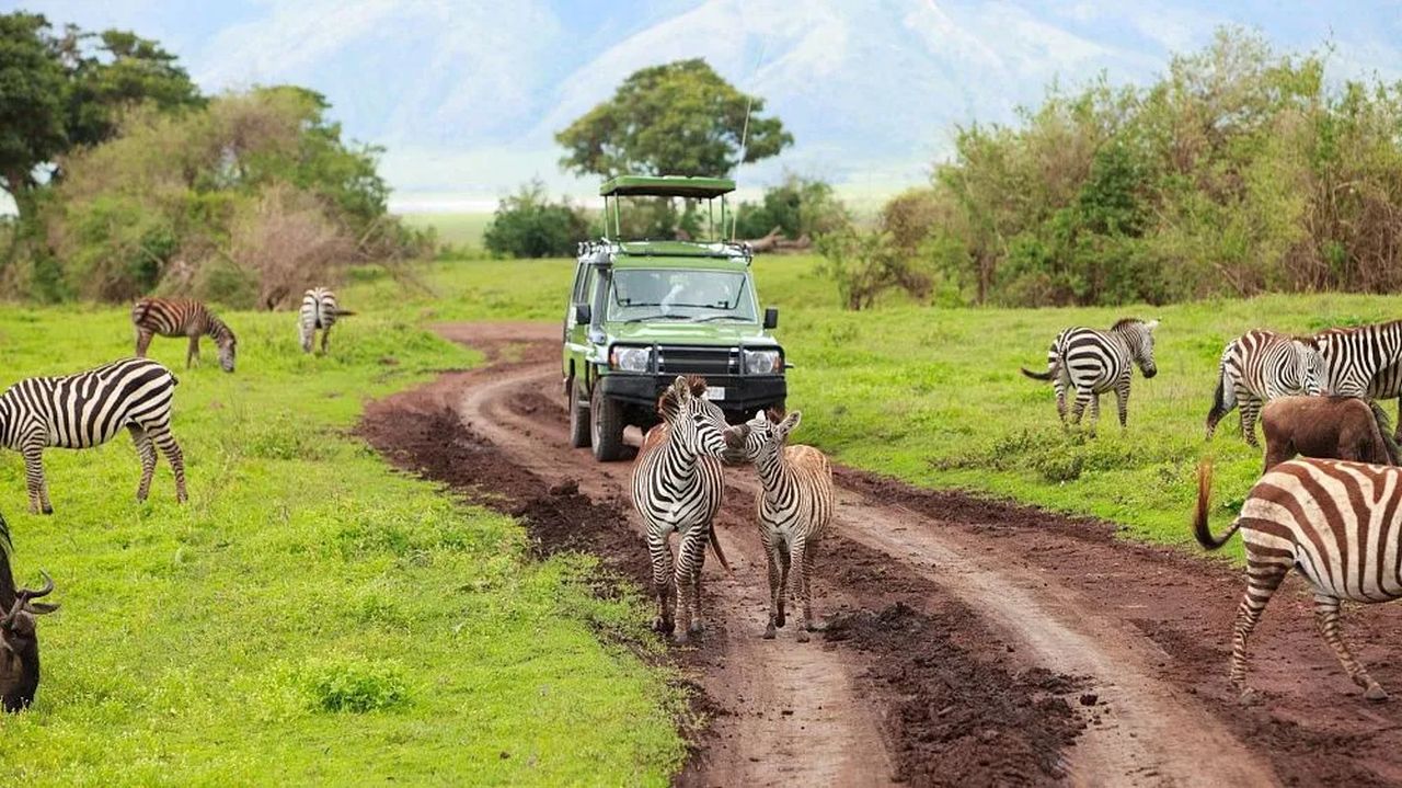 South Africa Bets on Tourism to Fight Climate Change And It Might Just Work