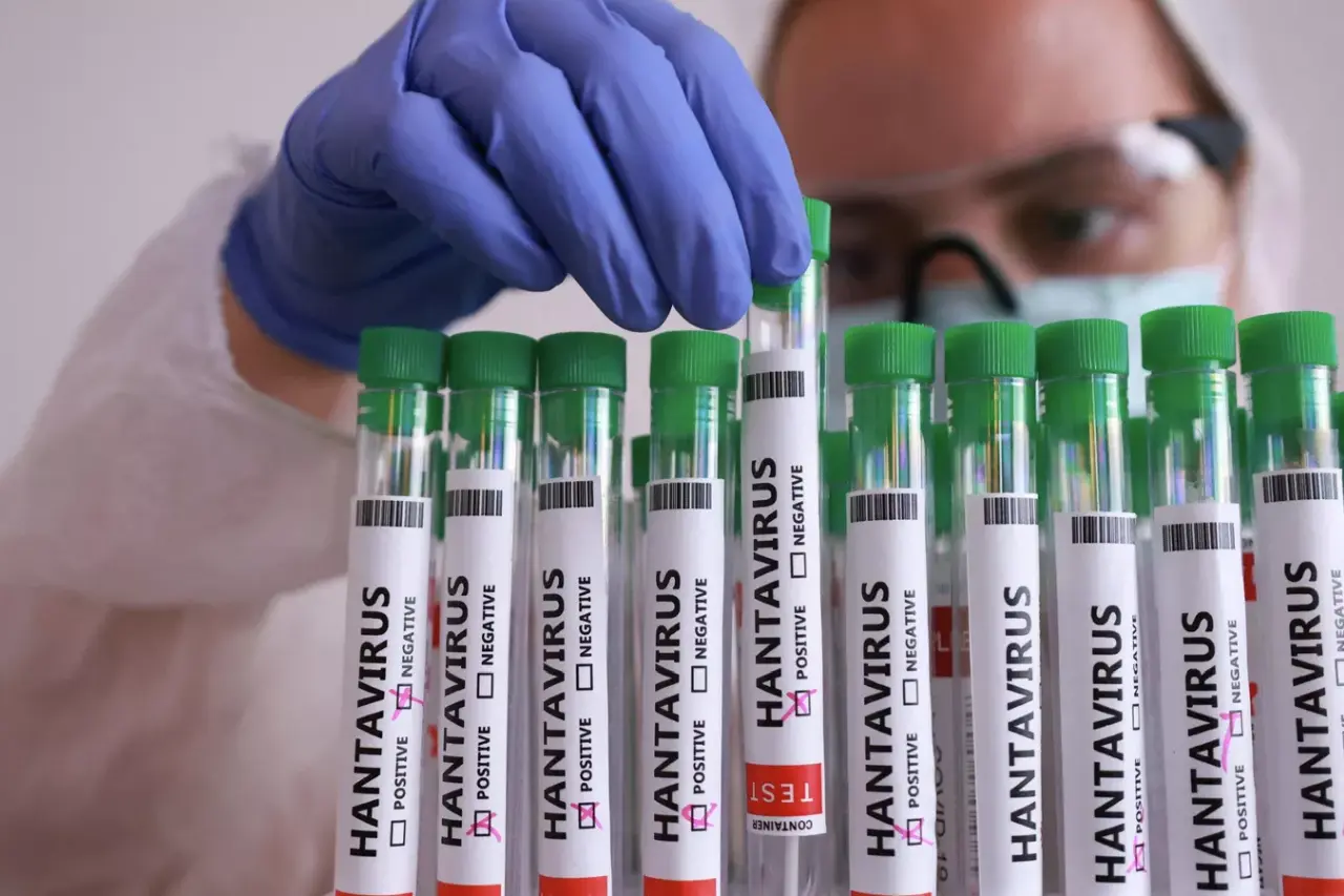 Greece Says Hantavirus Epidemic Risk in Europe Remains Extremely Low