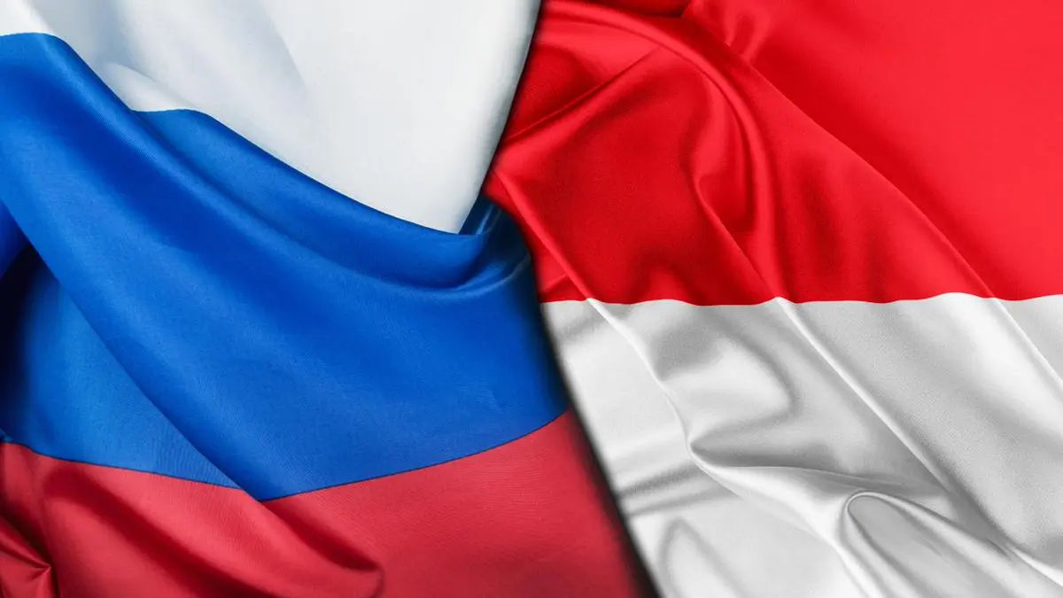 Indonesia Eyes Dependable Russian Energy Supplies to Power Its 2045 Economic Dream