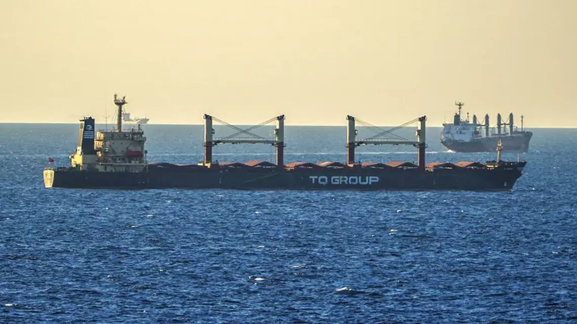 Bosphorus Strait Traffic Halted After Cargo Ship Suffers Engine Breakdown